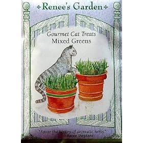 Cat Mixed Greens Seeds from Cat Food