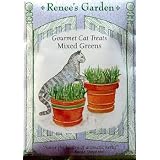 Cat Mixed Greens Seeds by No Thyme Productions