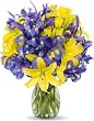 Sunny Skies without Vase