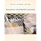 Accounting Books