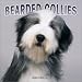 Bearded Collies 2004 Calendar