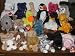 Ty Beanie Baby Babies LOT of TEN (10) - All Different, with Tag Protectors! SAVE $$ on Shipping!