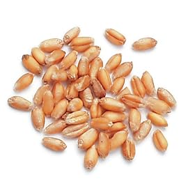 Wheat Berries, Hard Red (Og)* - 10 Lb Bag / Box Each