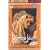 Umrao Jaan [2006] [DVD]
