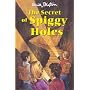 The Secret of Spiggy Holes (Secret Series)
