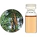 �����̖� C �a���� �� (�ؕ�) �G�b�Z���V�����I�C�� 10ml