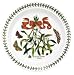 Portmeirion Botanic Garden Mistletoe Dinner Plates, Set of 6