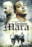 Destino Mara