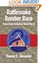 Rattlesnake Bomber Base: Pyote Army Airfield In Wold War II
