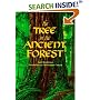 The Tree in the Ancient Forest
