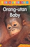 Orang-utan baby