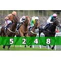 Race Night DVD Vol 4 (for fundraising events)