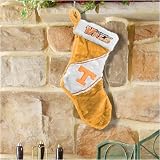 Tennessee Volunteers Colorblock Plush Stocking