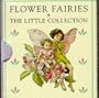 Flower Fairies : The Little Collection