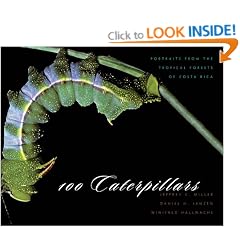 100 Caterpillars: Portraits from the Tropical Forests of Costa Rica