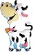 Cow 37