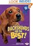 Dachshunds Are the Best! (Best Dogs Ever)