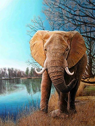 24"x32" Hd Canvas Print Home Decor Art Painting (No Frame), Elephant on the River Bank, Anand
