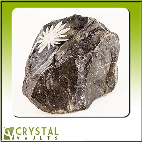 Chrysanthemum Stone