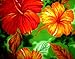 V.H.O Funky Hawaiian Shirt, Bigflower, Green, M