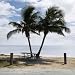 Picnic Table with Palm Trees on Beach in Florida Keys, Florida, - 18H x 18W - Peel and Stick Wall Decal by Wallmonkeys