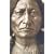 Sitting Bull