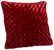Brentwood Rosette 18-by-18-inch Knife Edge Pillow, Red