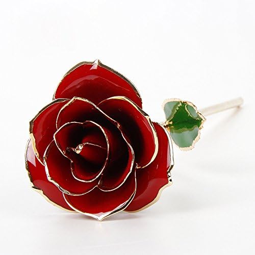 Love Forever Long Stem Dipped 24k Gold Foil Trim Rose, Best Gift for Mother's Day (Red)