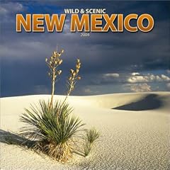 Wild & Scenic New Mexico 2004 Calendar