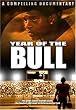 Year of the Bull