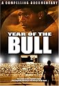 Year of the Bull