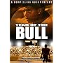 Year of the Bull
