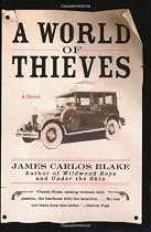 A World Of Thieves: A Novel
