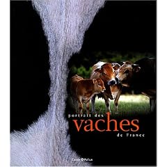 Portrait des vaches de France