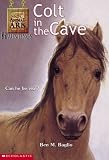 Colt in the Cave (Animal Ark Hauntings, #4)