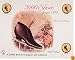 3000 Shoes from 1896: With Price Guide (Schiffer Book for Collectors and Designers.)