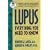 Lupus: Everything You Need to Know (Avery Health Guides)