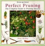 Perfect Pruning (Step-by-step)