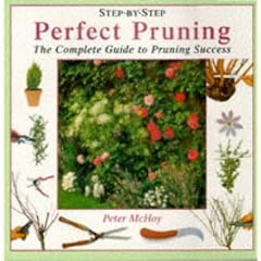 Perfect Pruning (Step-by-step)