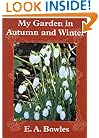 My Garden in Autumn and Winter