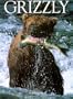 Grizzly