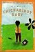 The Diary of Chickabiddy Baby