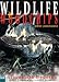 Books : Wildlife and Woodchips: Leadbeater's Possum : A Test Case for Sustainable Forestry
