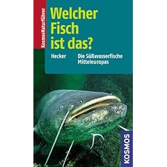 Welcher Fisch ist das?: Die S�sswasserfische Mitteleuropas