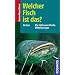 Welcher Fisch ist das?: Die S�sswasserfische Mitteleuropas