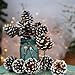 Factory Direct Craft Natural Pinecone Picks with Faux Snow - Accents for Christmas Holiday, Thanksgiving and Fall Decorations (Package of 12)
