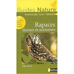 Rapaces diurnes et nocturne