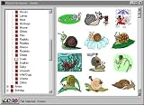 Click for more about 80,000 Pictures - Avanquest Software.