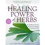 The Healing Power of Herbs: The Enlightened Person's Guide to the Wonders of Medicinal Plants