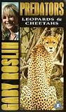 Eigenschaften Warner Home Video  / Gaby Roslin Predators - Leopards And Cheetahs [UK IMPORT]